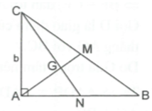 Hỏi đáp VietJack