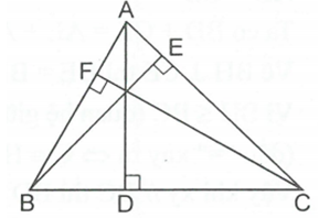Hỏi đáp VietJack