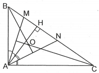Hỏi đáp VietJack