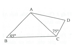 Hỏi đáp VietJack