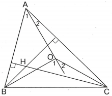 Hỏi đáp VietJack