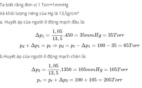 Hỏi đáp VietJack