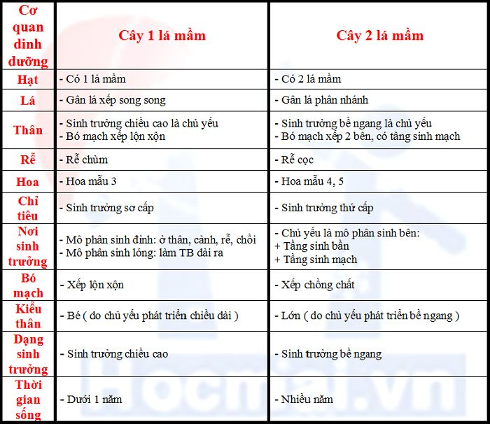 Hỏi đáp VietJack
