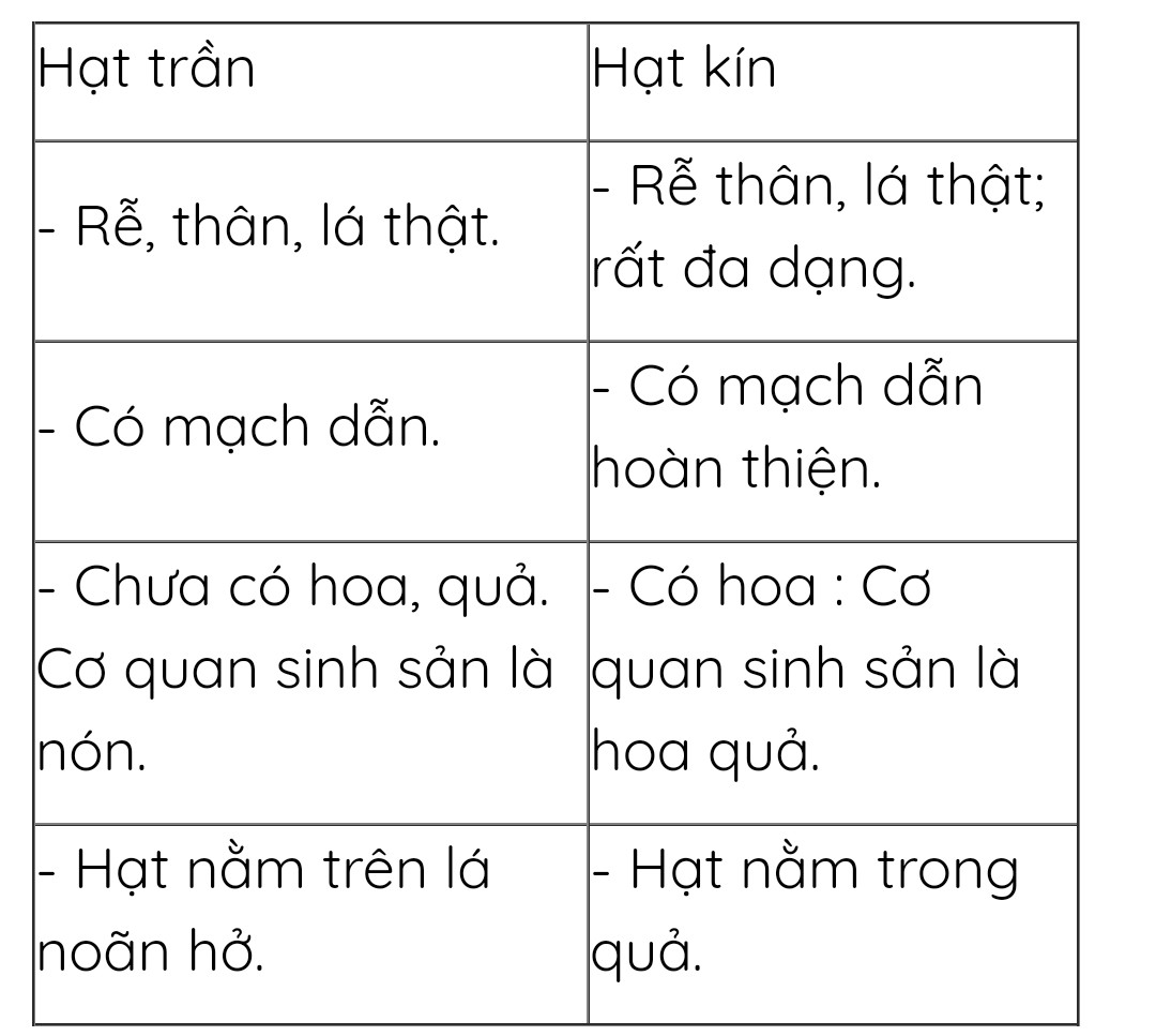 Hỏi đáp VietJack