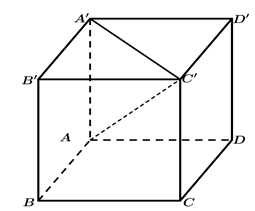 Hỏi đáp VietJack