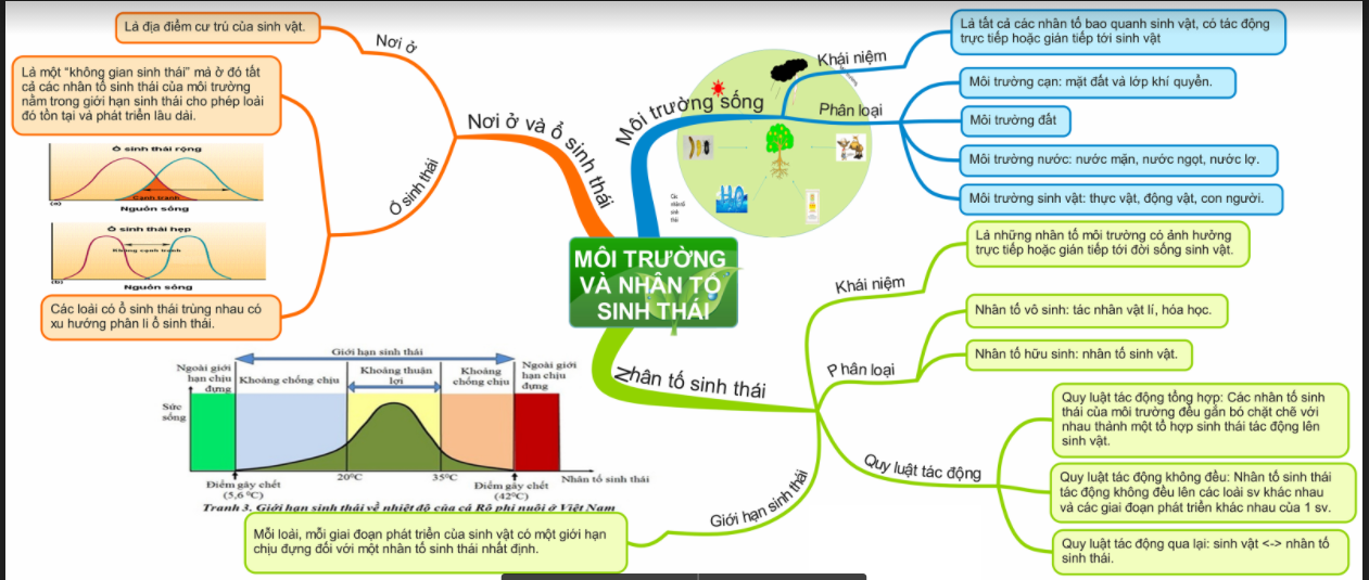 Hỏi đáp VietJack