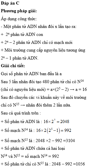 Hỏi đáp VietJack