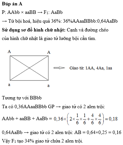 Hỏi đáp VietJack