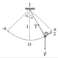 Hỏi đáp VietJack