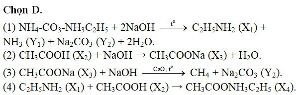 Hỏi đáp VietJack