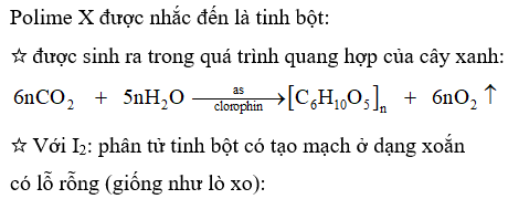 Hỏi đáp VietJack