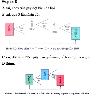 Hỏi đáp VietJack