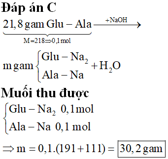 Hỏi đáp VietJack