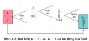 Hỏi đáp VietJack