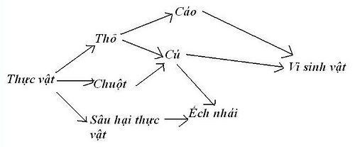 Hỏi đáp VietJack
