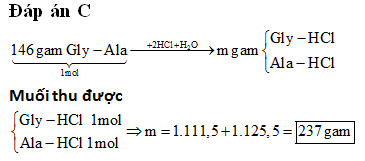 Hỏi đáp VietJack