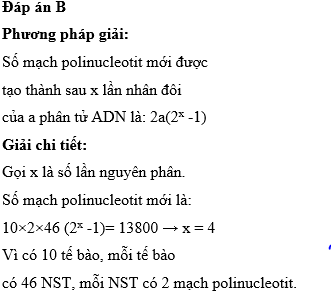 Hỏi đáp VietJack