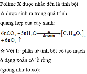 Hỏi đáp VietJack