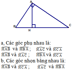 Hỏi đáp VietJack