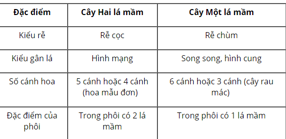 Hỏi đáp VietJack