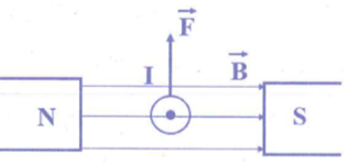 Hỏi đáp VietJack