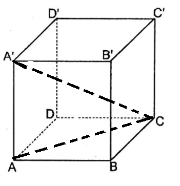 Hỏi đáp VietJack