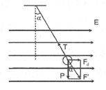 Hỏi đáp VietJack