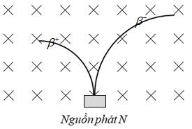 Hỏi đáp VietJack