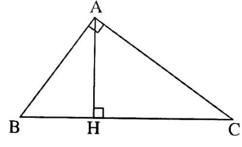 Hỏi đáp VietJack