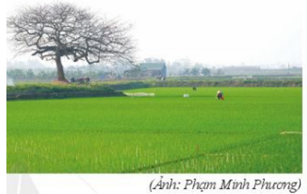 Hỏi đáp VietJack