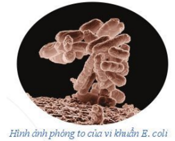 Hỏi đáp VietJack