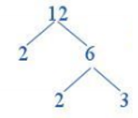 Hỏi đáp VietJack