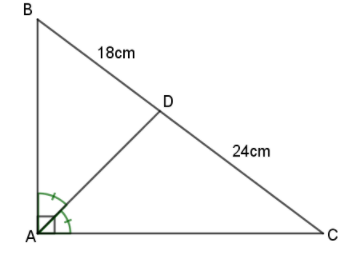 Hỏi đáp VietJack