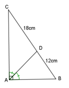 Hỏi đáp VietJack