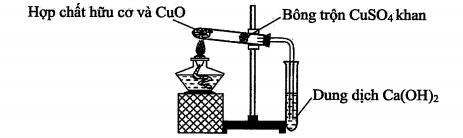 Hỏi đáp VietJack