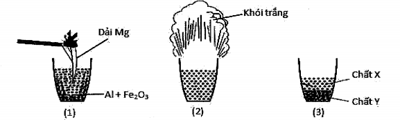 Hỏi đáp VietJack