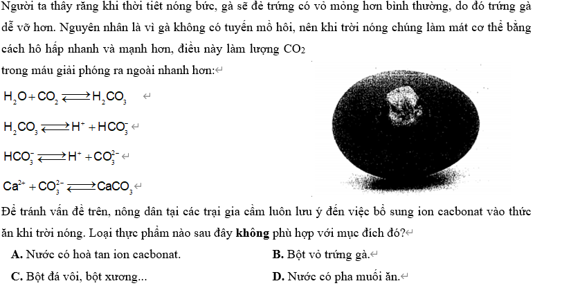 Hỏi đáp VietJack