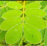 Hỏi đáp VietJack