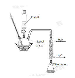Hỏi đáp VietJack