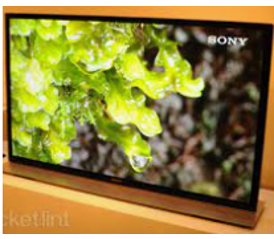 Hỏi đáp VietJack