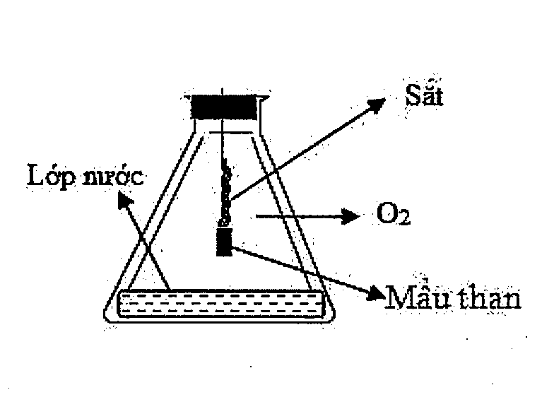 Hỏi đáp VietJack