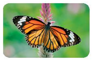 Hỏi đáp VietJack