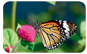 Hỏi đáp VietJack