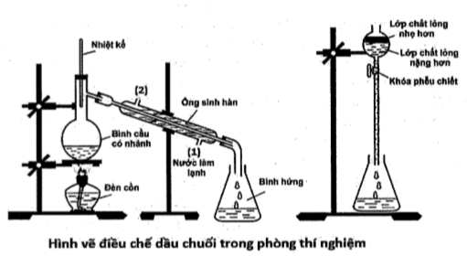 Hỏi đáp VietJack