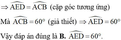 Hỏi đáp VietJack