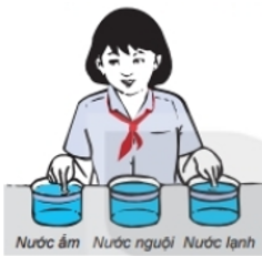 Hỏi đáp VietJack