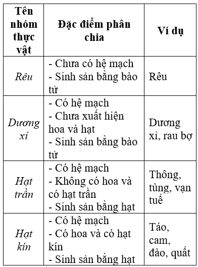 Hỏi đáp VietJack