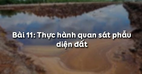 Hỏi đáp VietJack