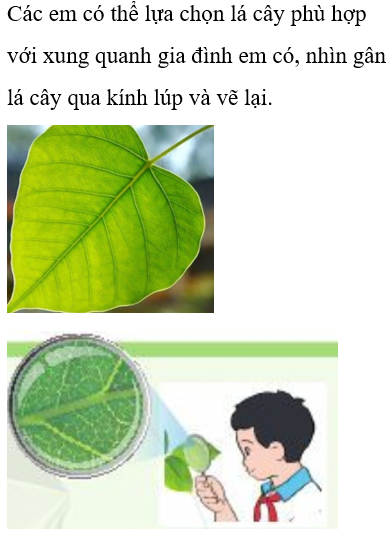 Hỏi đáp VietJack
