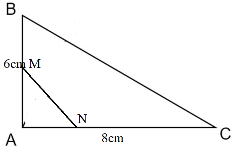 Hỏi đáp VietJack